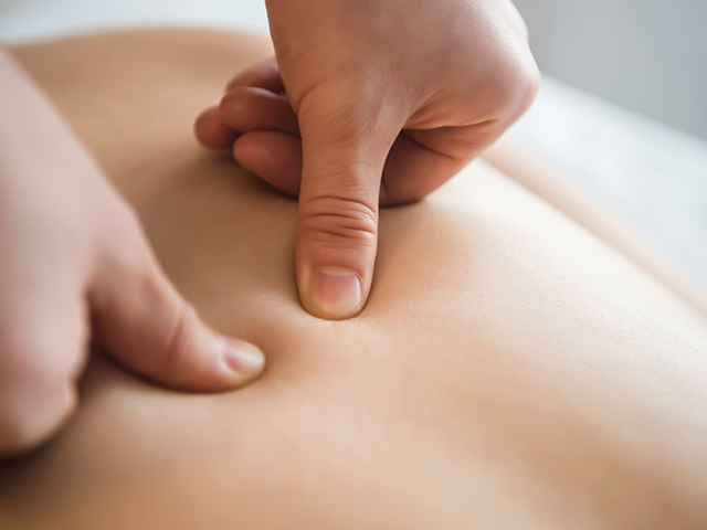 20241226112857_f8TFpgox.jpg_carousel_약손약발통증관리_노원구척추교정,도봉구척추교정,중랑구척추교정,의정부척추교정,남양주척추교정,체형교정,통증관리,활법바른척추,약손지압